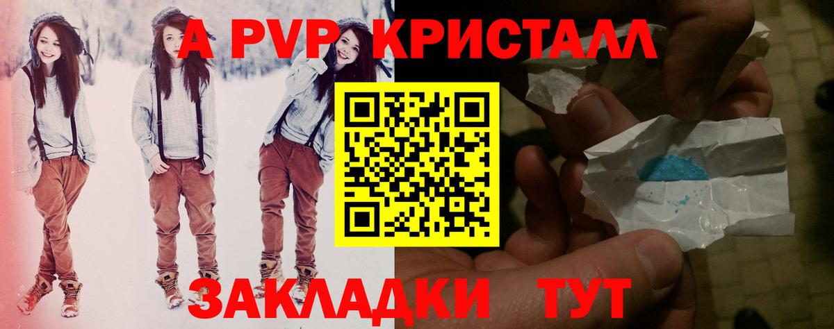 Альфа ПВП СК Балтийск