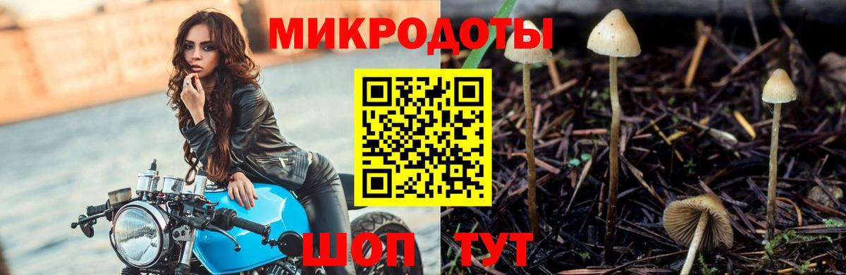 Балтийск  Галлюциногенные грибы Psilocybine cubensis  Псилоцибиновые грибы Magic Shrooms  Вход с VPN 